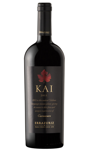 Кай Карменер 2011