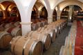 Wine Cellar