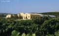 Cantina Contessa Entellina