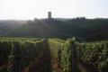 Kiedrich Turmberg Vineyards