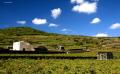 Cantina Pantelleria