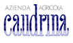 Caudrina, Пиемонт